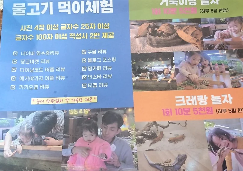 물고기 먹이 주기, 거북이 및 크레 체험 등 카페의 핵심 콘텐츠와 비용을 상세히 안내하는 정보성 사진 - Finding Inner Peace at Mini Pond: The Definitive Guide to Aquatic Healing in Yeongjongdo