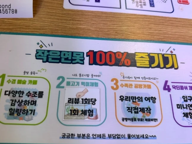 '작은연못 100% 즐기기' 가이드라인을 통해 방문객이 현장에서 참고할 수 있는 실질적인 이용 팁 제공 - Finding Inner Peace at Mini Pond: The Definitive Guide to Aquatic Healing in Yeongjongdo
