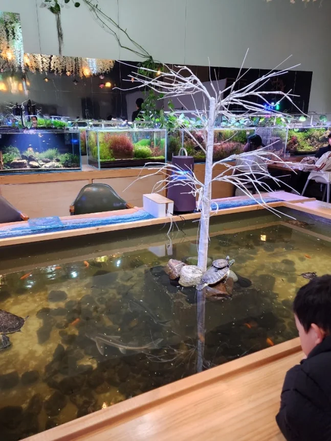 매장 중앙의 대형 수조와 식재된 나무 조형물이 어우러진 시그니처 공간을 보여주는 핵심 비주얼 - Finding Inner Peace at Mini Pond: The Definitive Guide to Aquatic Healing in Yeongjongdo