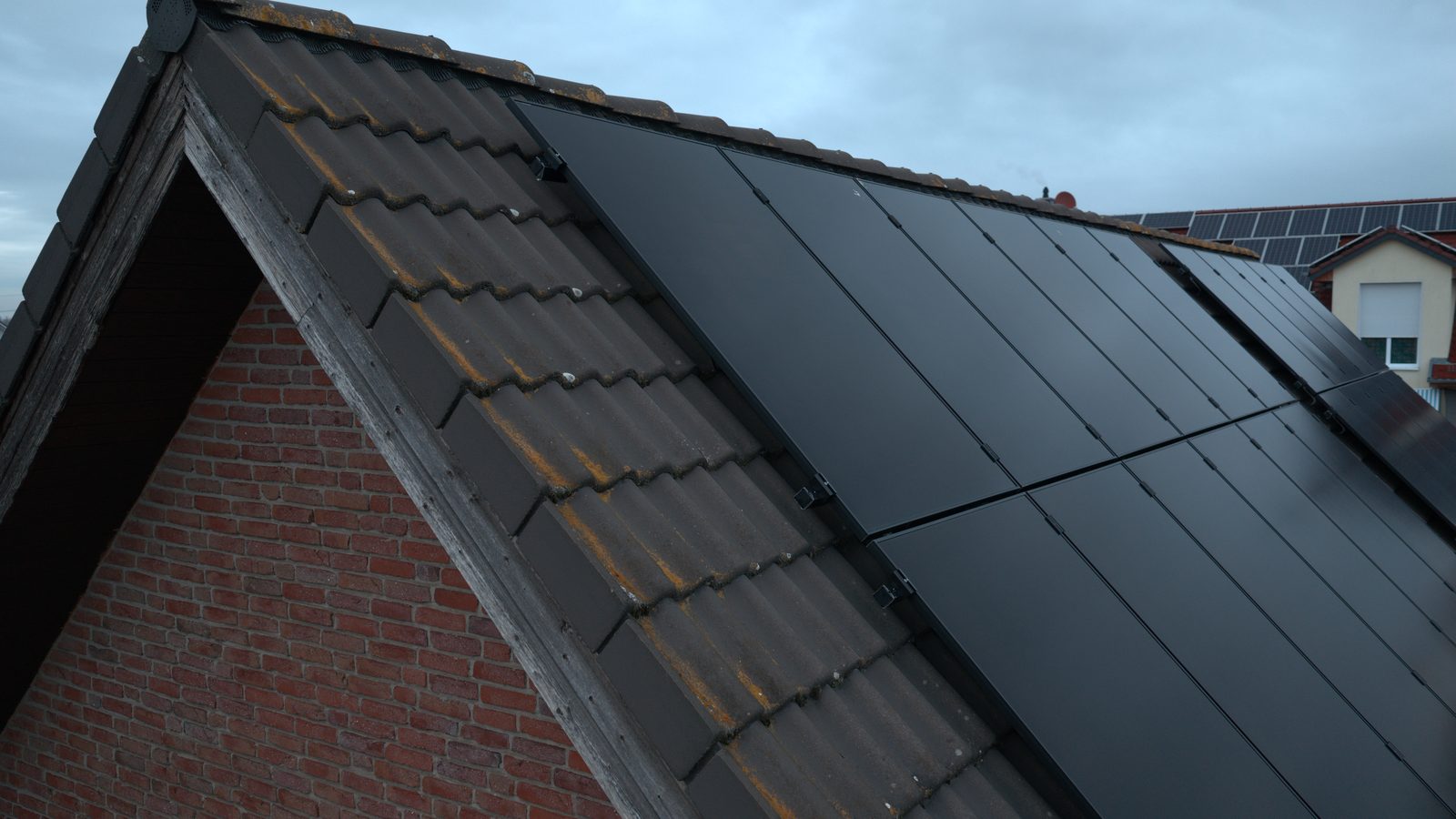 Mattschwarze bee-doo Module