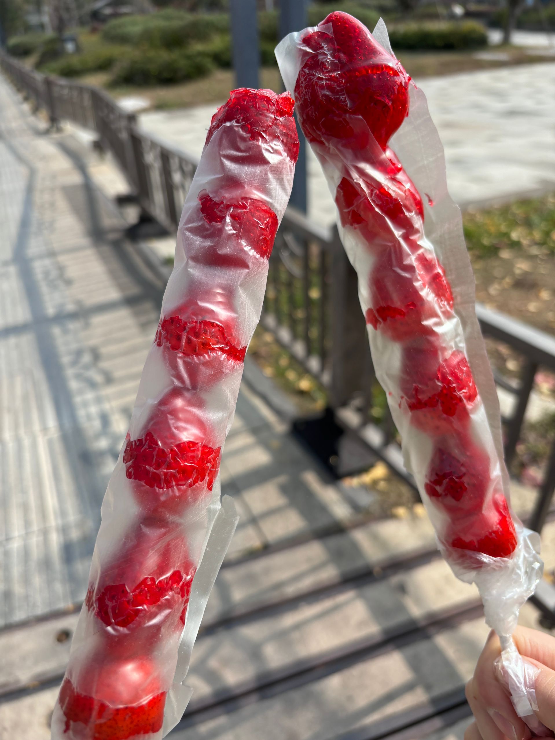 糖葫芦