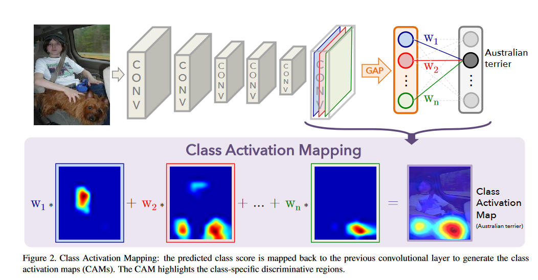 来自论文Learning Deep Features for Discriminative Localization