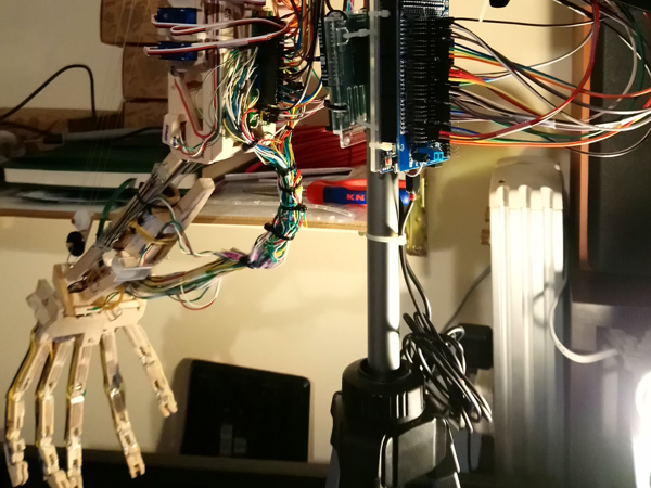 บันทึกแห่งความล้มเหลว