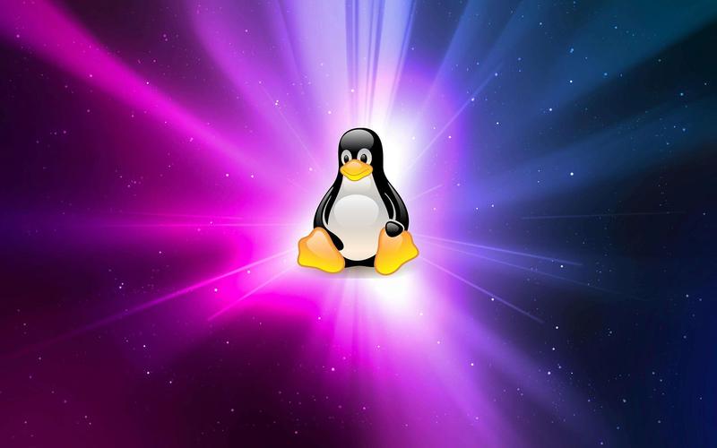 Linux配置NFS共享存储服务器