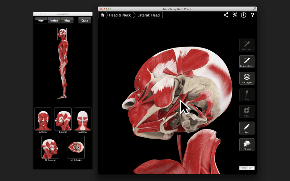 musclesystemproiiiformac版3d人体肌肉医学学习软件