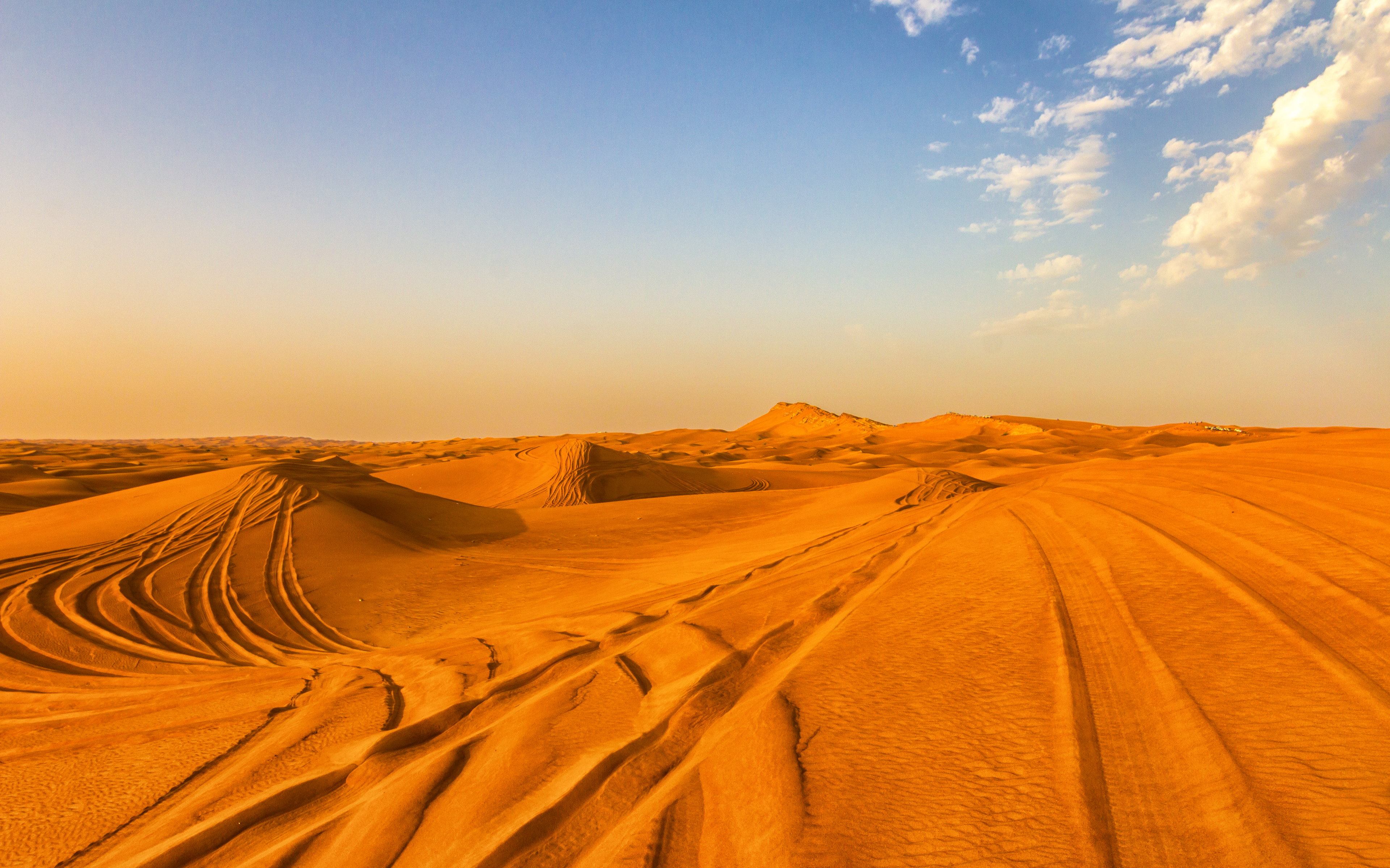 desert safari