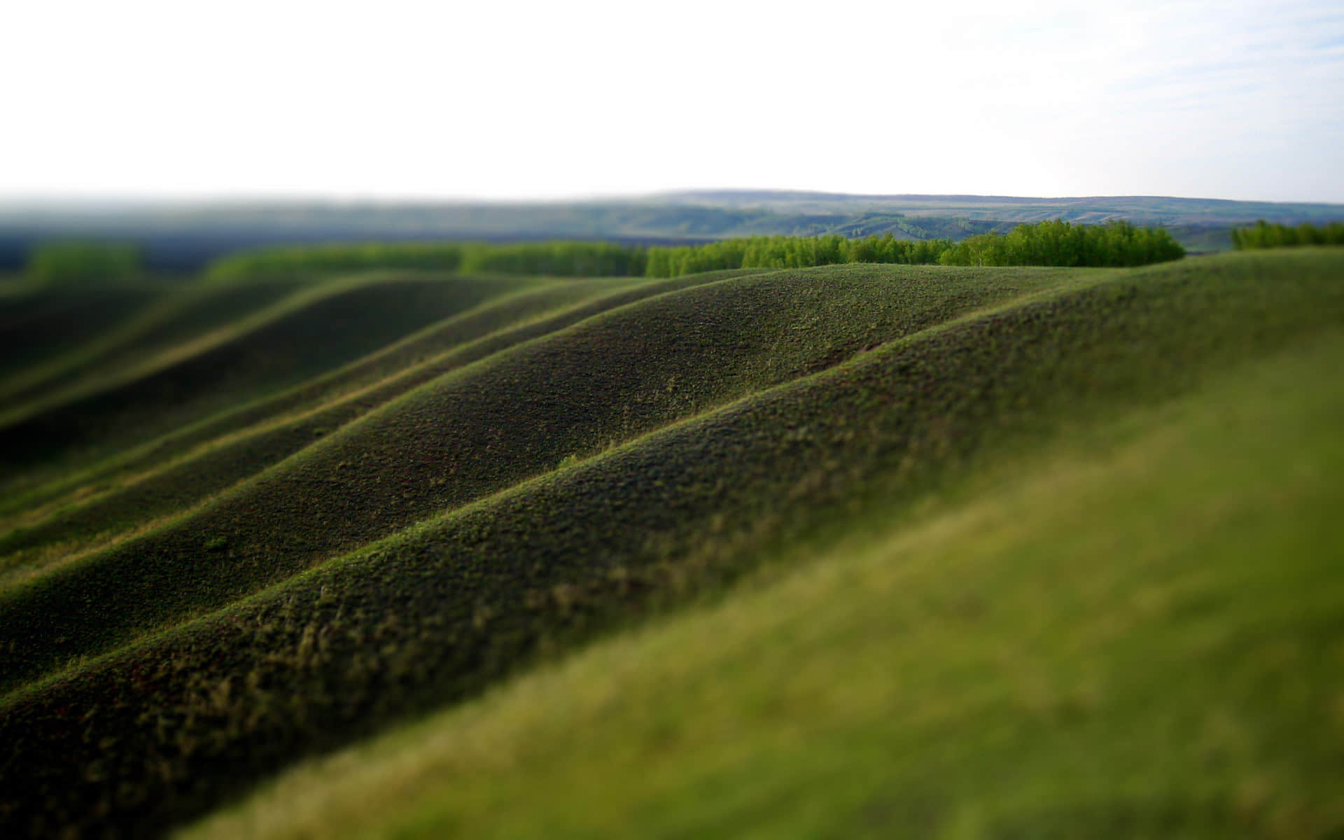 绿色的山丘和草地高清壁纸