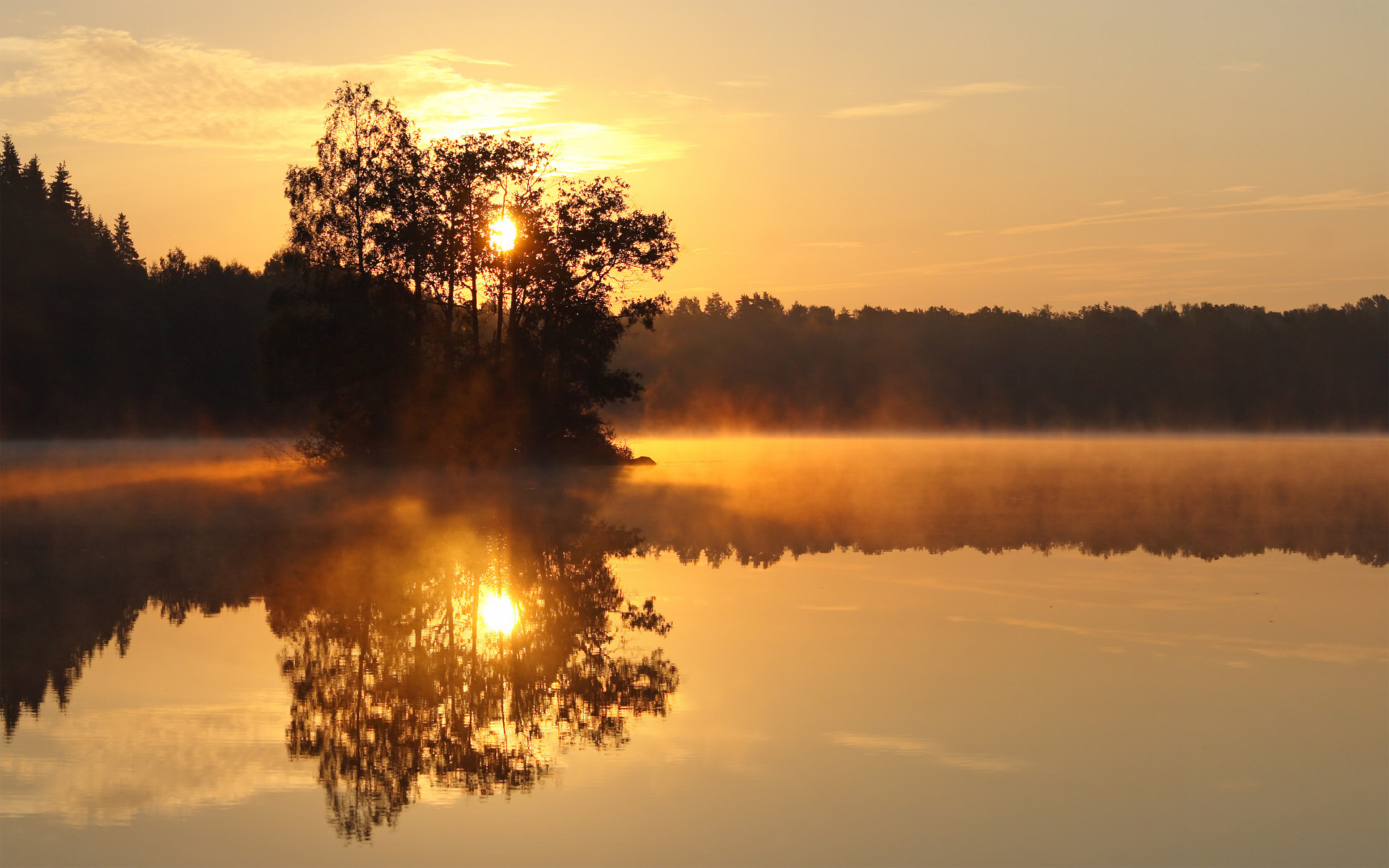 清晨的瑞典Alljungen湖高清壁纸