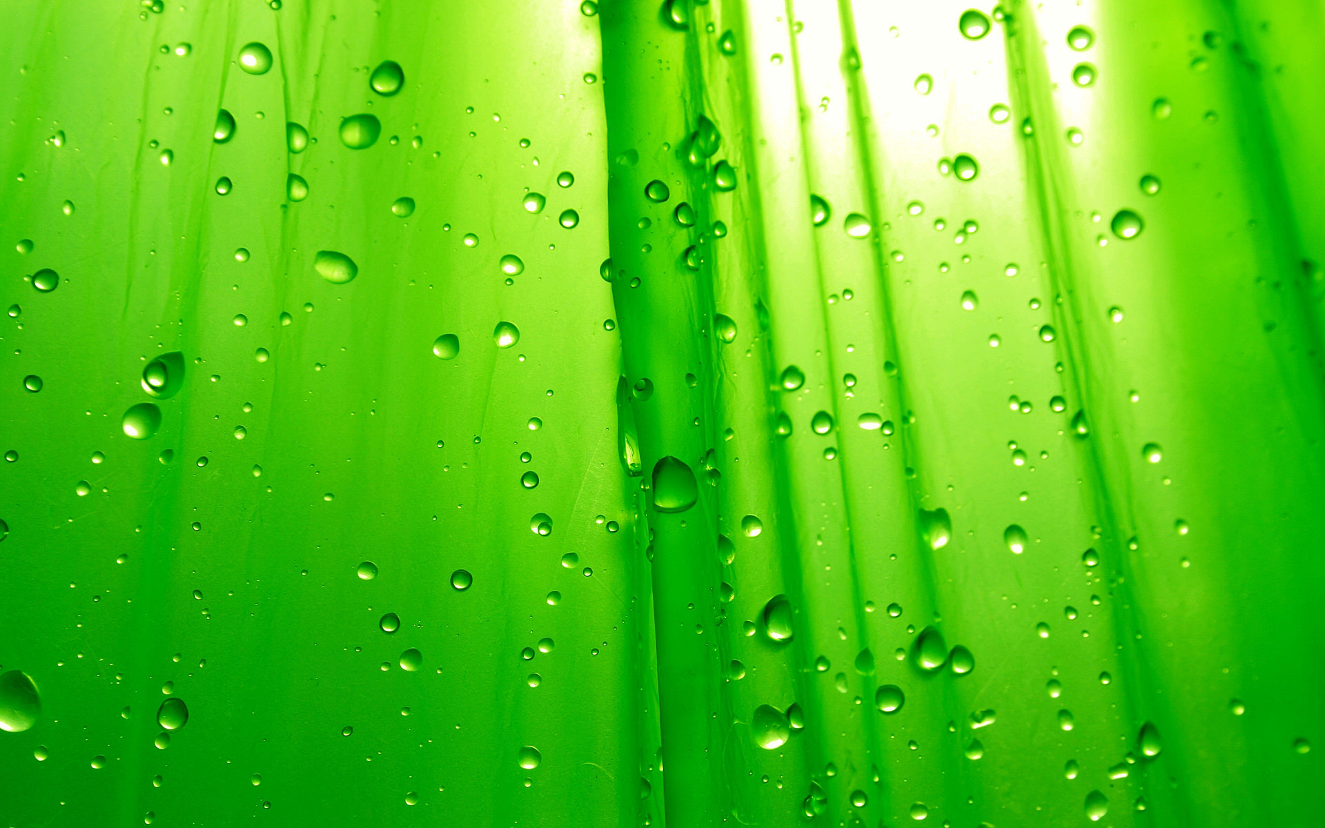 绿色的水滴高清壁纸