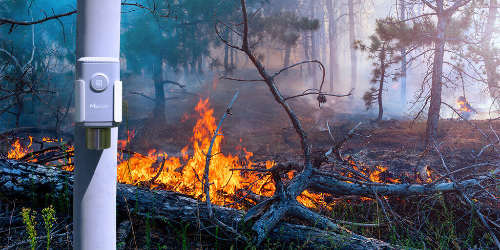 Forest Fire Detection