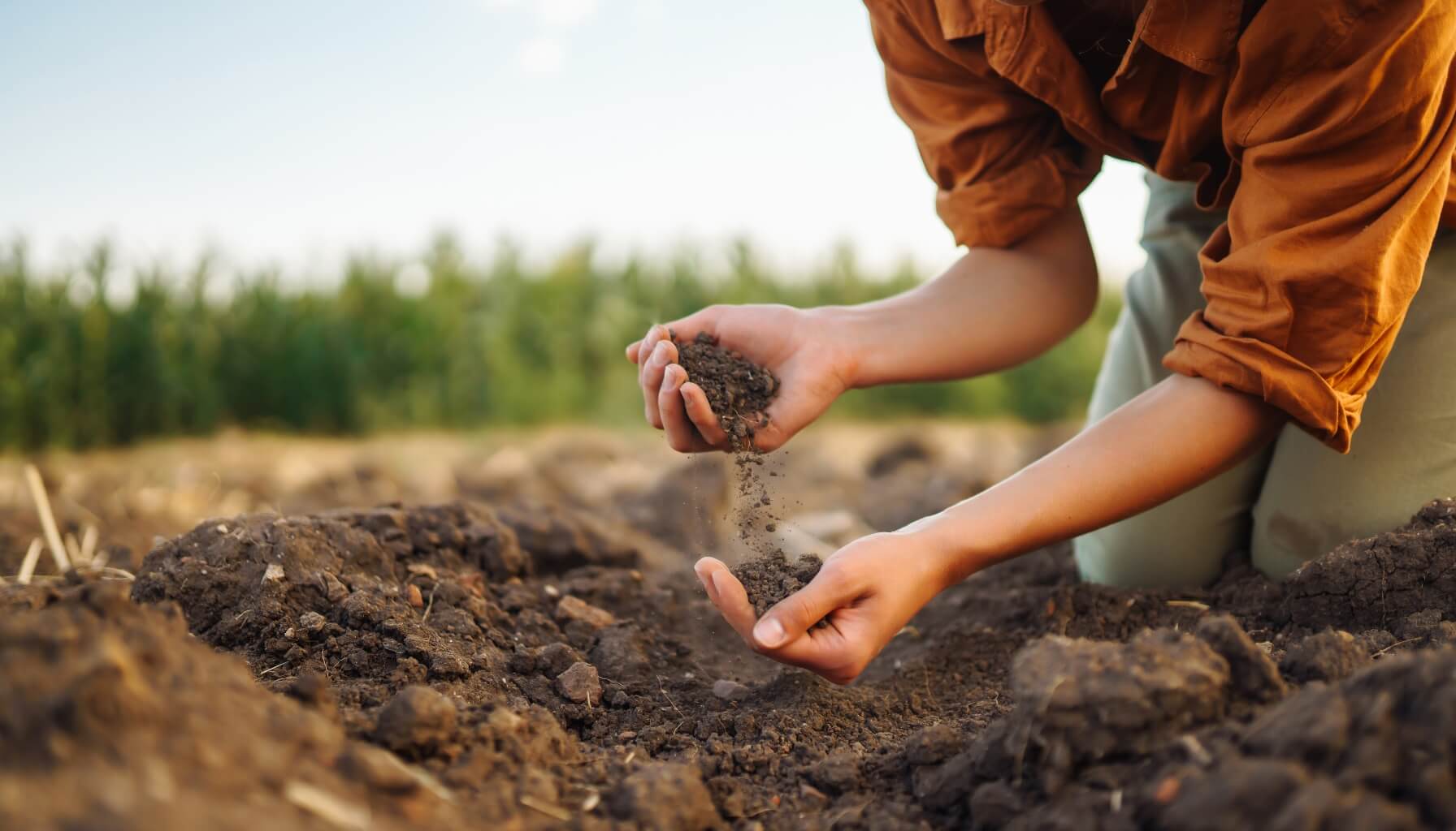 Soil Moisture Monitoring