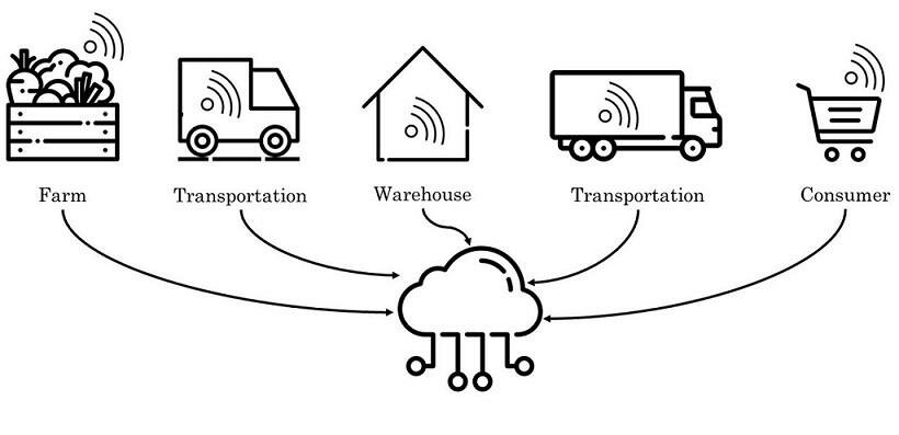 Supply Chain Visibility