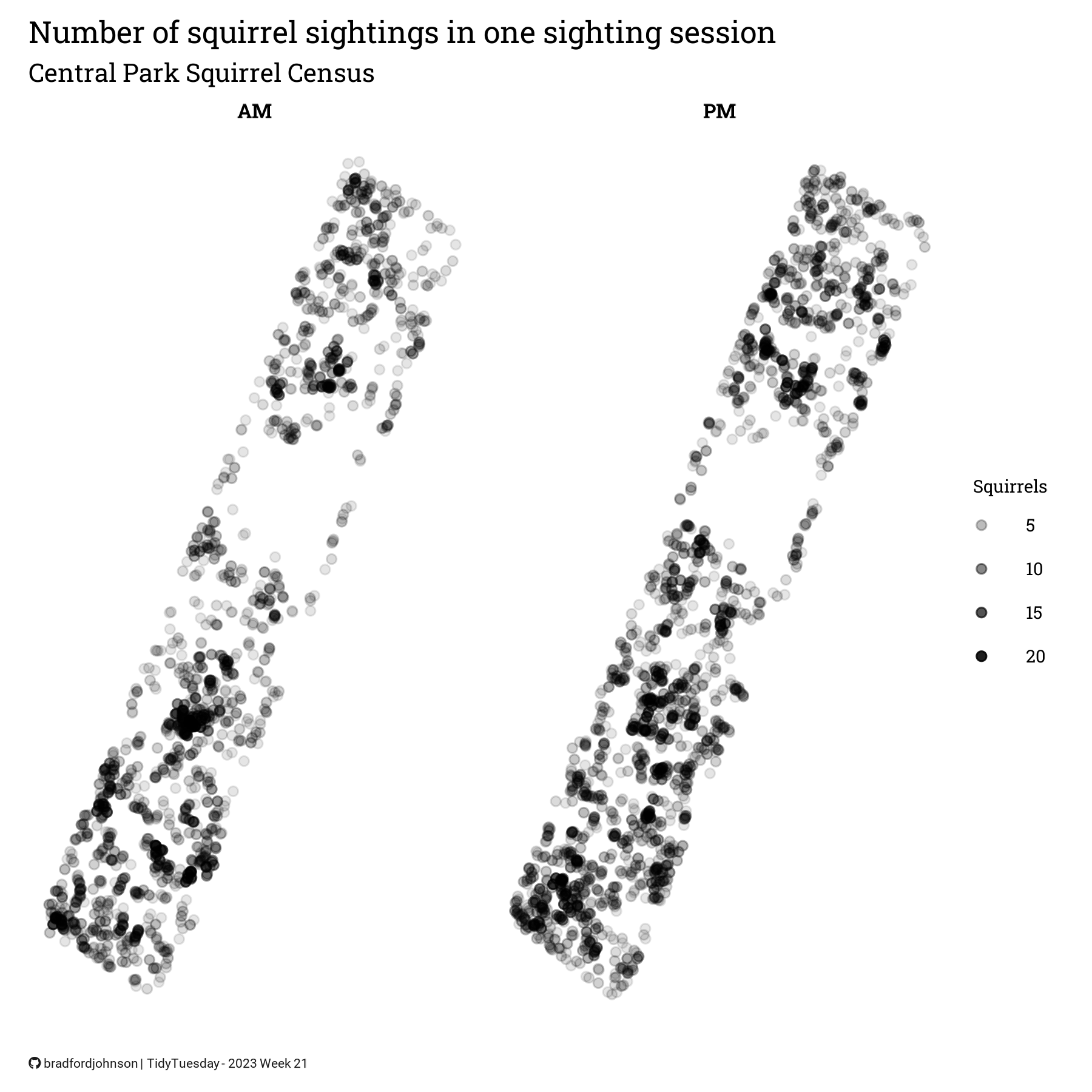 Squirrel Census Data