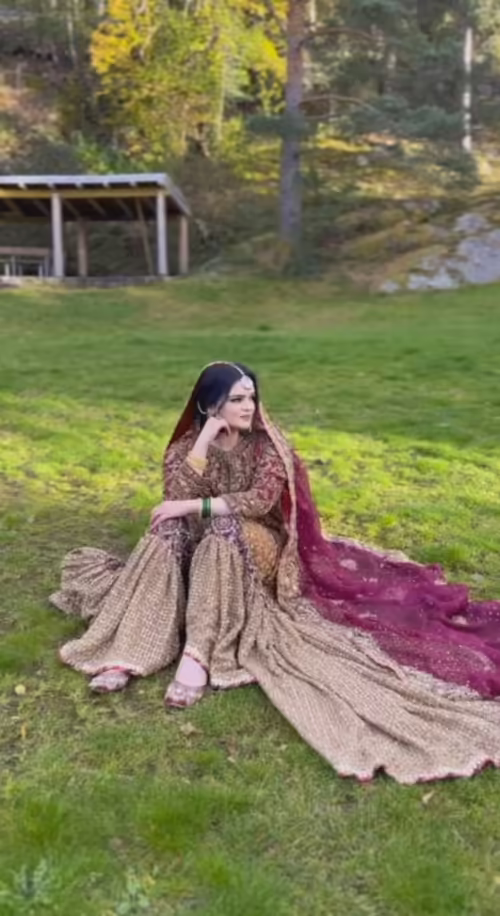 Imam Ul Haq's Bride Look From Her Mehndi Event