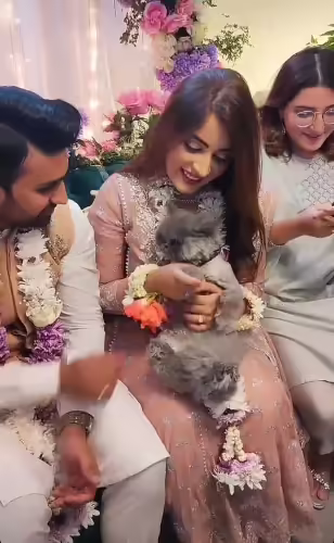 shagufta-ejaz-daughter-anaya-ali-engagement (19)