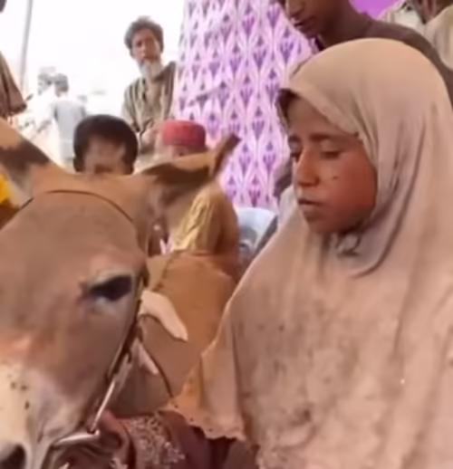 Heart Breaking Story Of 8 Year Old Breadwinner Of Her Family