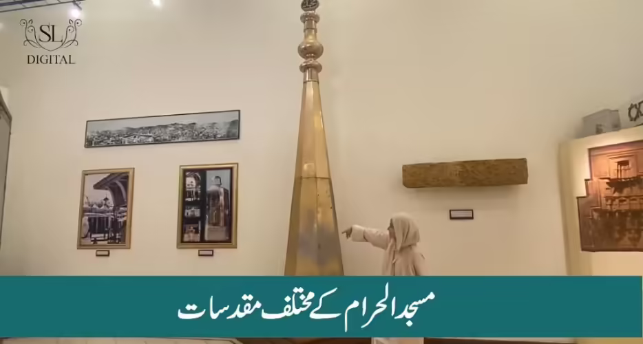 Shaista Lodhi Had Honor To Take Part in Ghilaf E Kaaba Stitching - Video