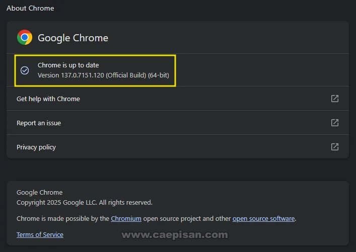Update Google Chrome Update Google Chrome