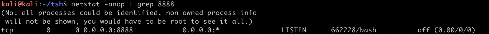 image-20210203190049116