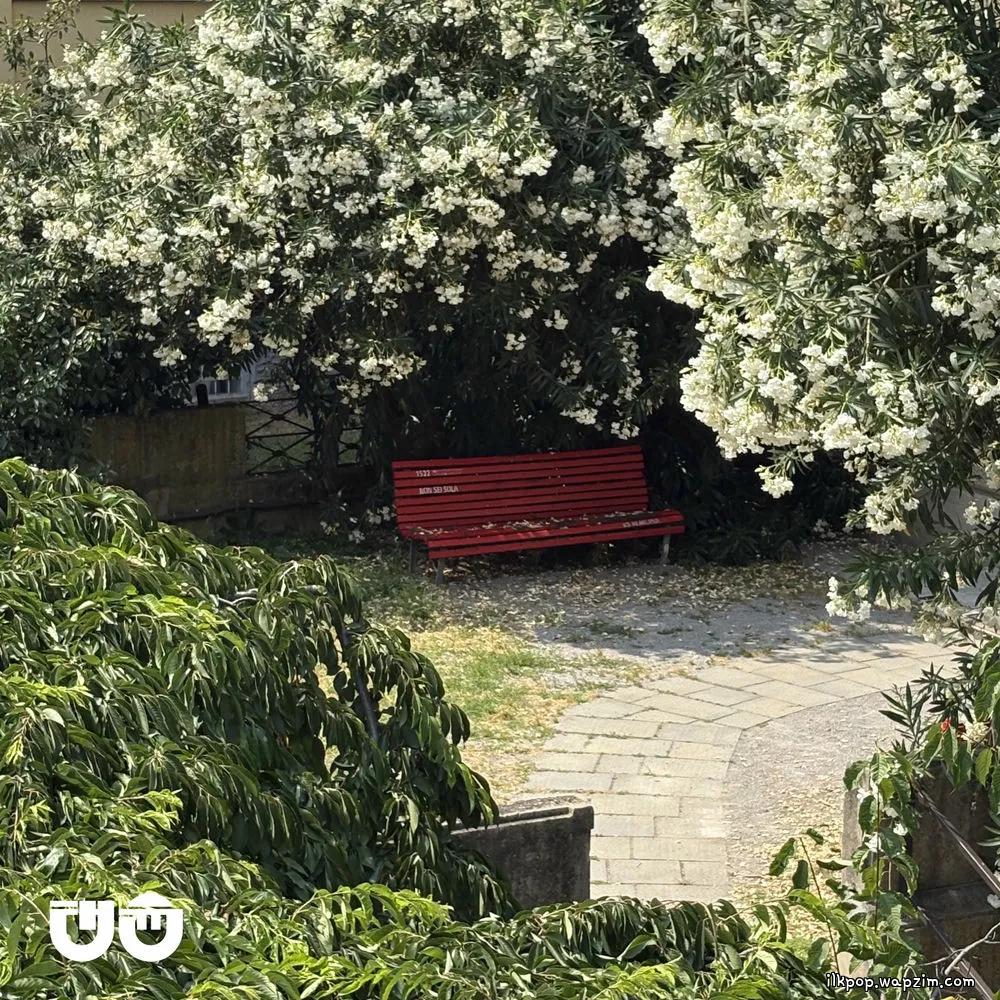 교신 (Transmission) by TAEYOON