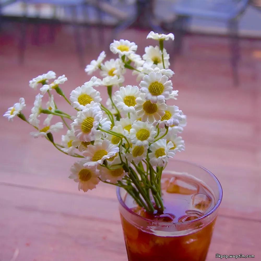 JayBrown - 내 마음은 커피 (Coffee and a Daisy)