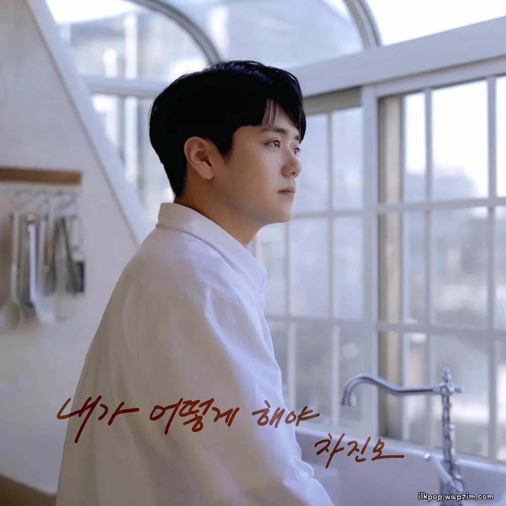 Cha Jin Mo - 내가 어떻게 해야 (What Can I Do for You)