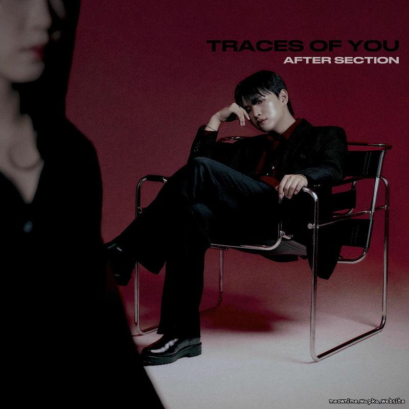 After Section - Traces of You