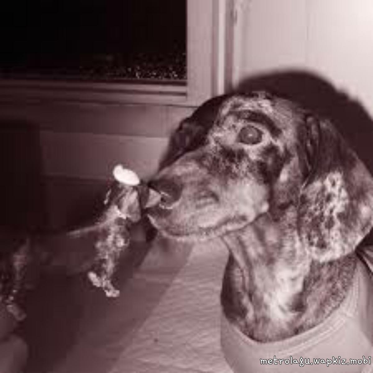 Etto - Tingkah Kita Yang Muda