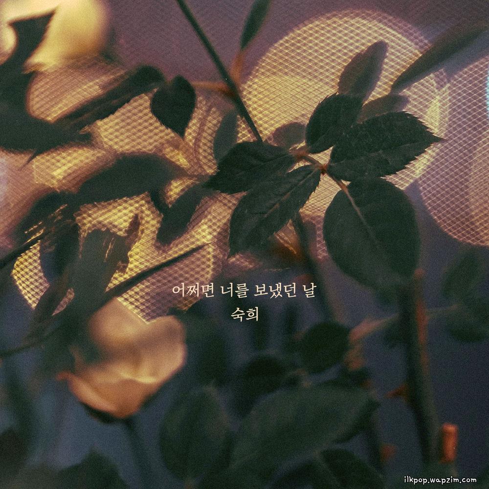 Suki - 어쩌면 너를 보냈던 날 (Maybe the day I let you go)