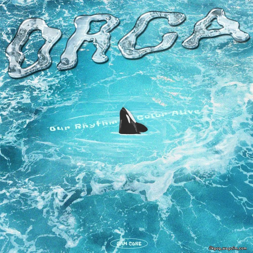 Sam Core - ORCA
