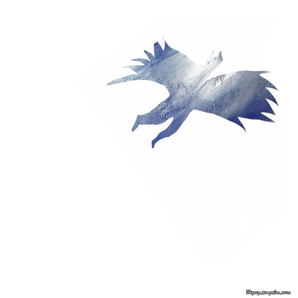 Jin Hwi PARK - 비행 (Flight)