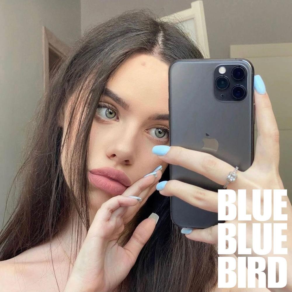 bluebluebird - GOODBYEMYLOVE