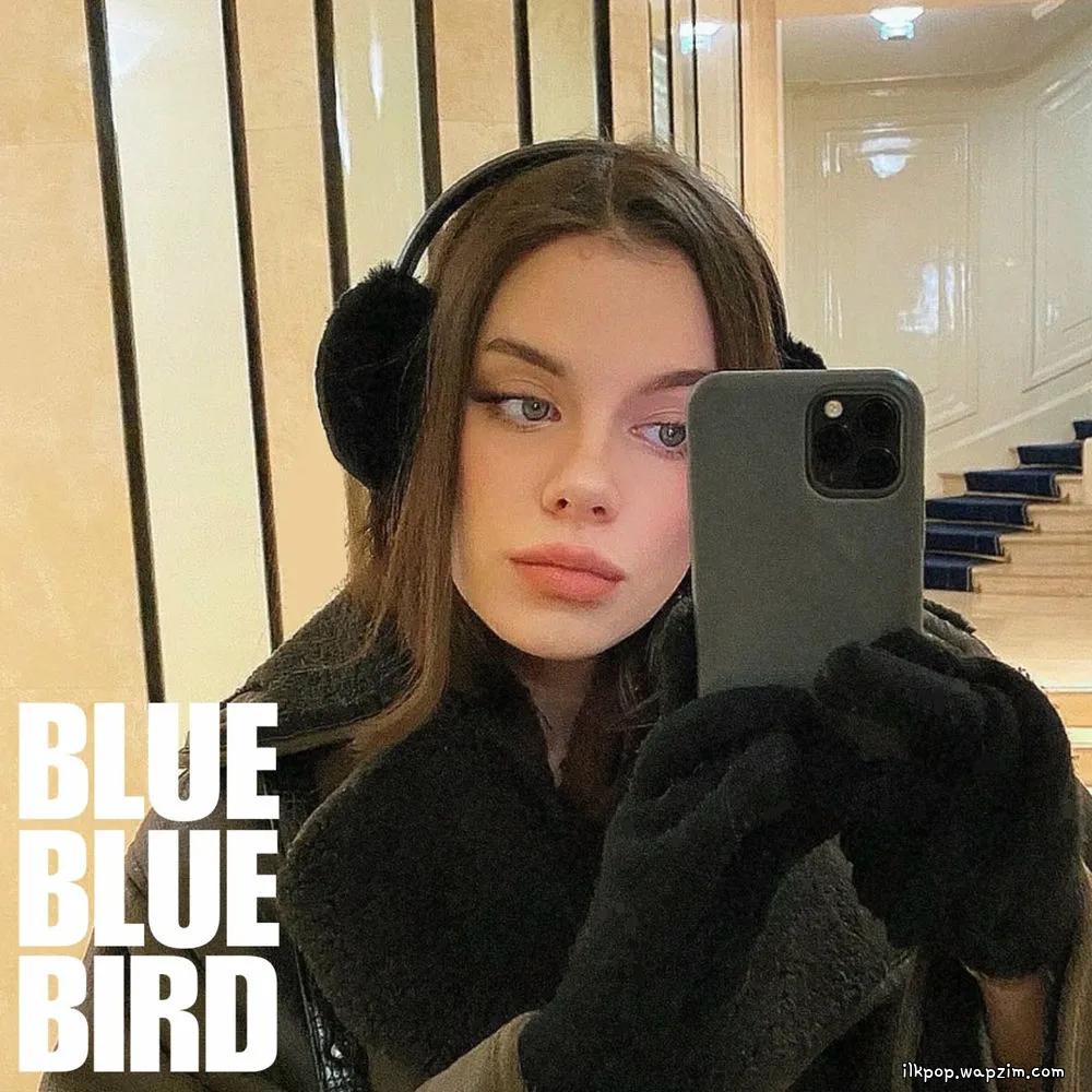 bluebluebird - white