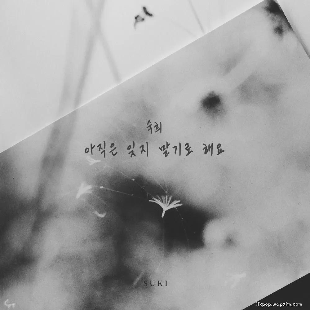 Suki - 아직은 잊지 말기로 해요 (Let's Not Forget)
