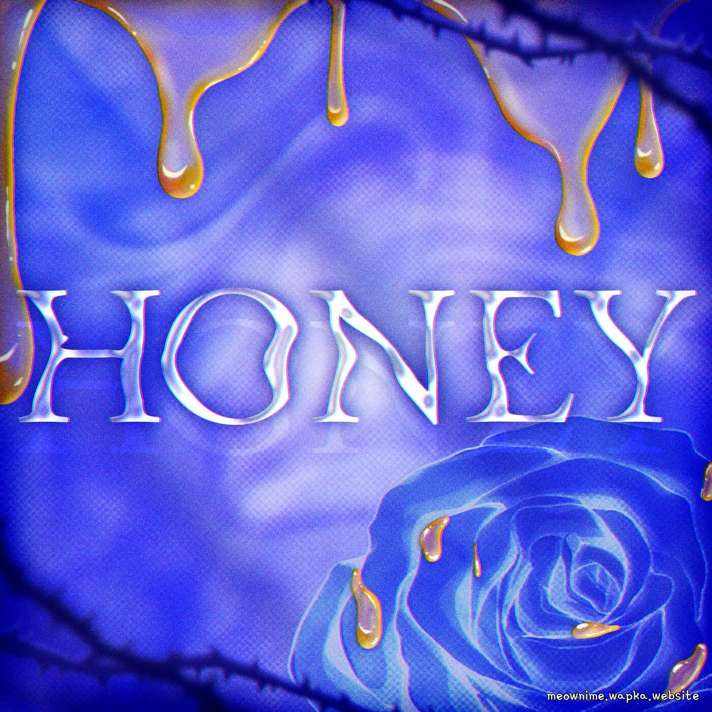 Roselia - HONEY (Cover) [Theme Song BanG Dream!]