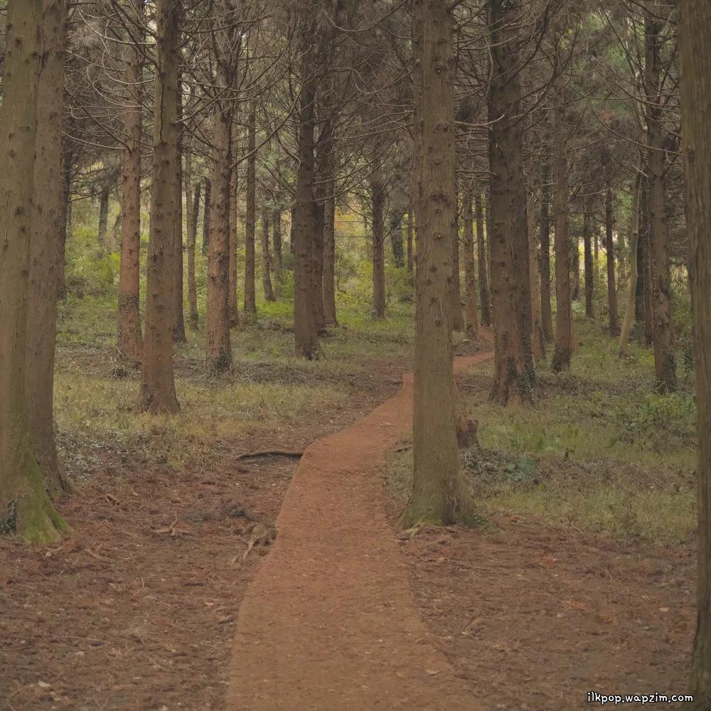 Choyoung - Joy of All