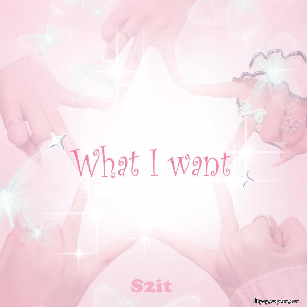 S2IT - What I Want