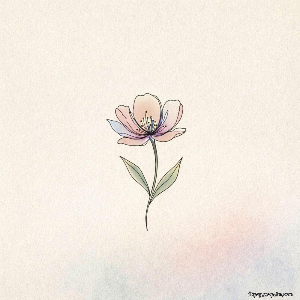 JIN JU - 넌 이미 충분히 아름다워 (You Already Beautiful Enough)