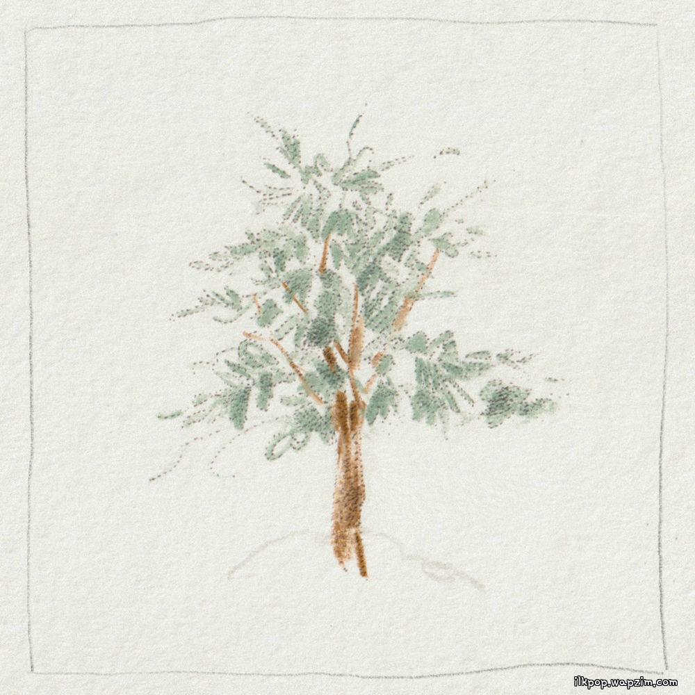 Kim Hyeonsu - 삼나무 (Cedar)