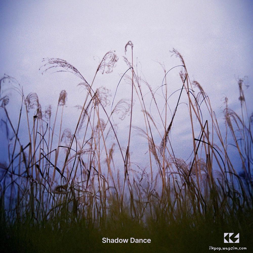 choichangsoon - ๊ทธ๋ฆผ์์ถค (Shadow Dance)