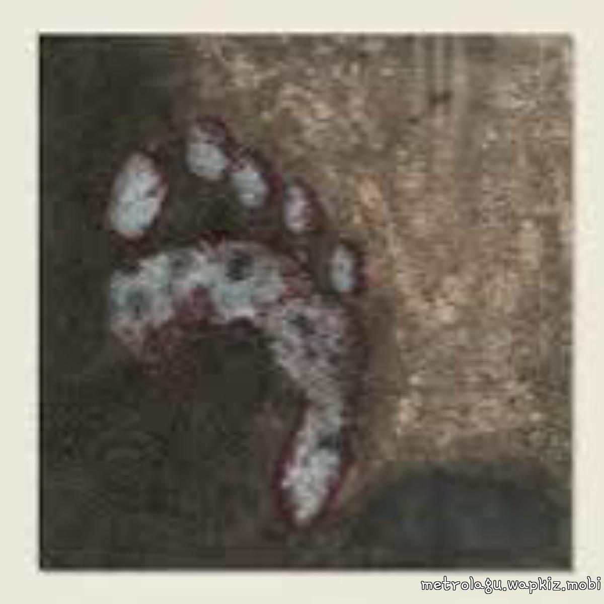 Trio Wijaya - Pengelana Cita