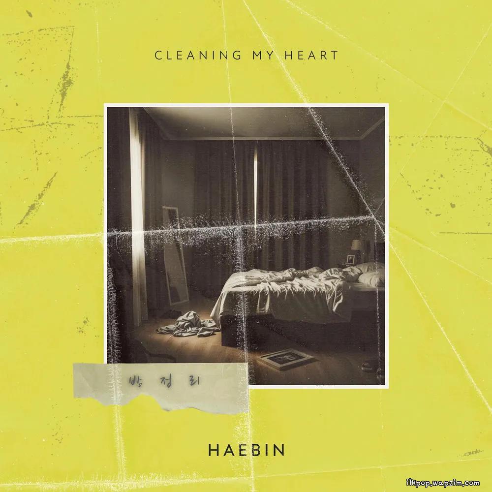 HAEBIN - ๋ฐฉ์ ๋ฆฌ (Cleaning My Heart)