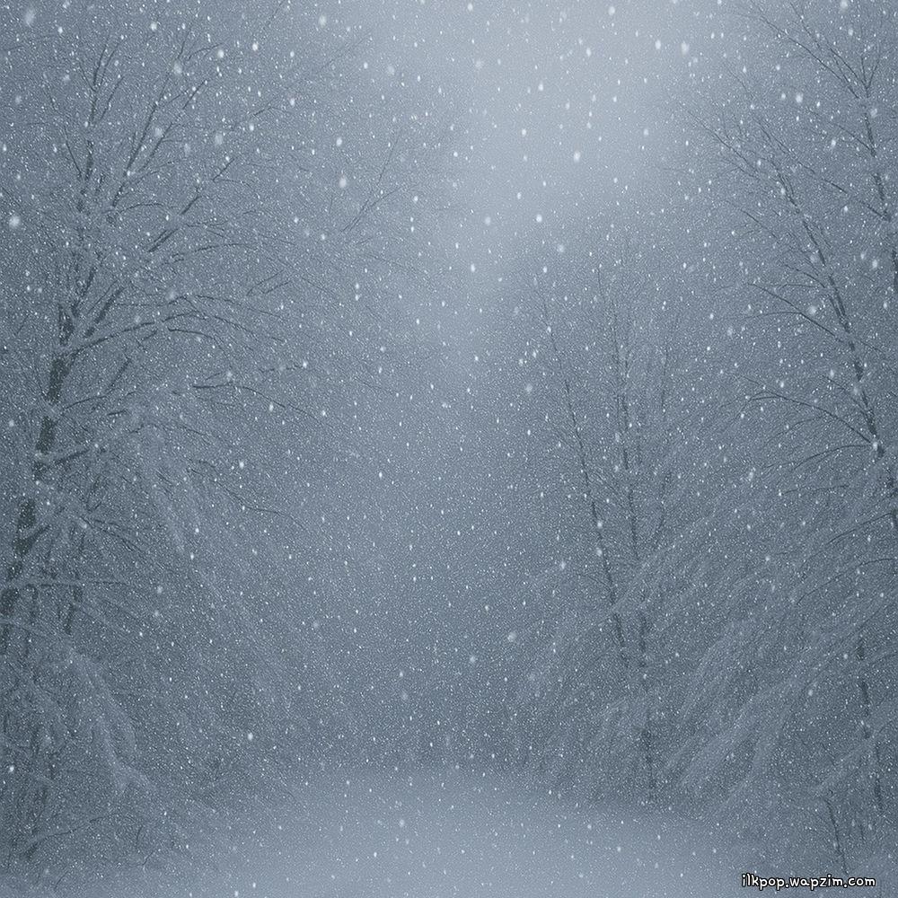 a:pomt & Jang Joon Yong & Yoon Su Yeon - 너, 그리고 눈 (You and the Snow).mp3