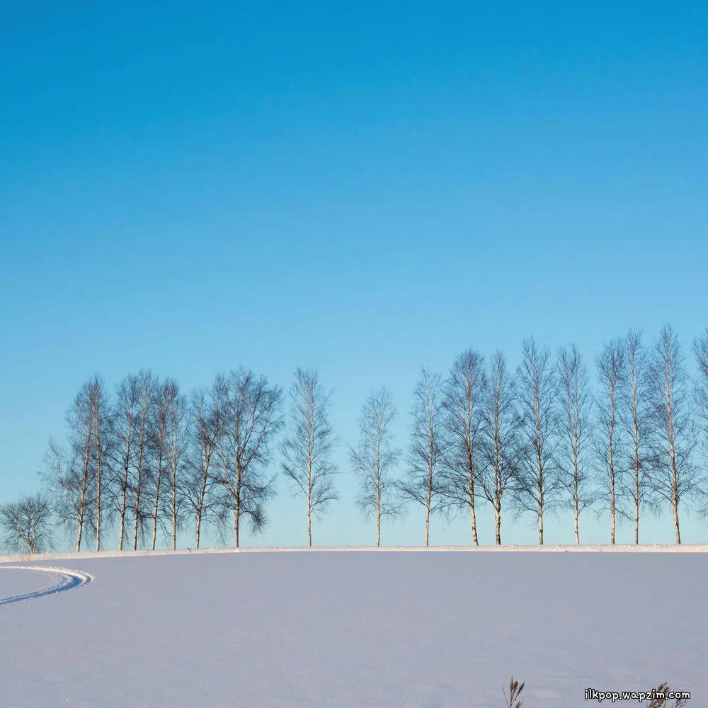 B.HEART - ๊ฒจ์ธ์๋ (In winter)