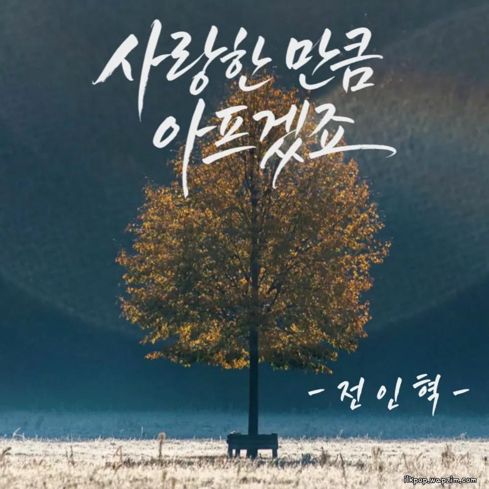 JEON IN HYUK - 사랑한 만큼 아프겠죠 (AS Much as I Loved)