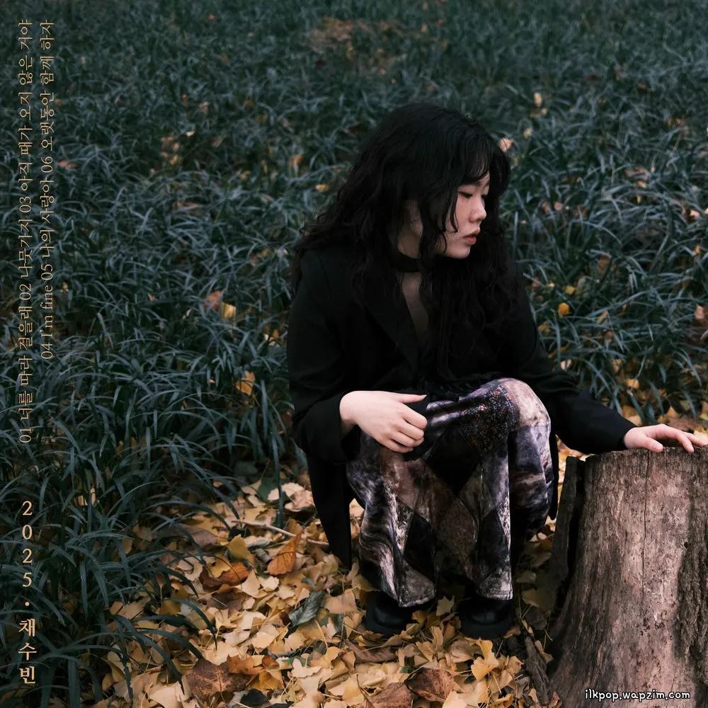 Chae Soobin - 나뭇가지 (The Branch)