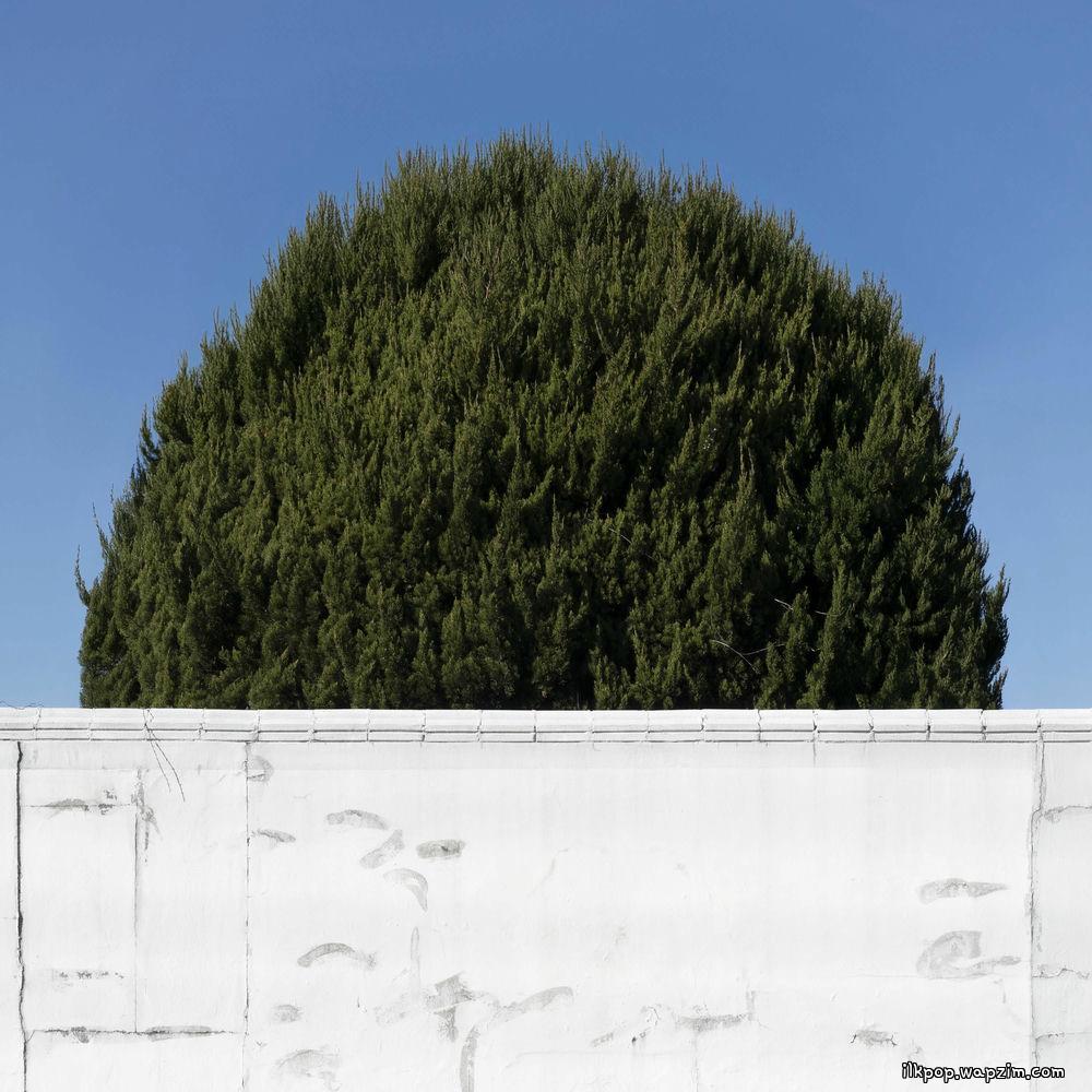 Sanha - 이 세상 괜한 걱정 (No Worry Salon)