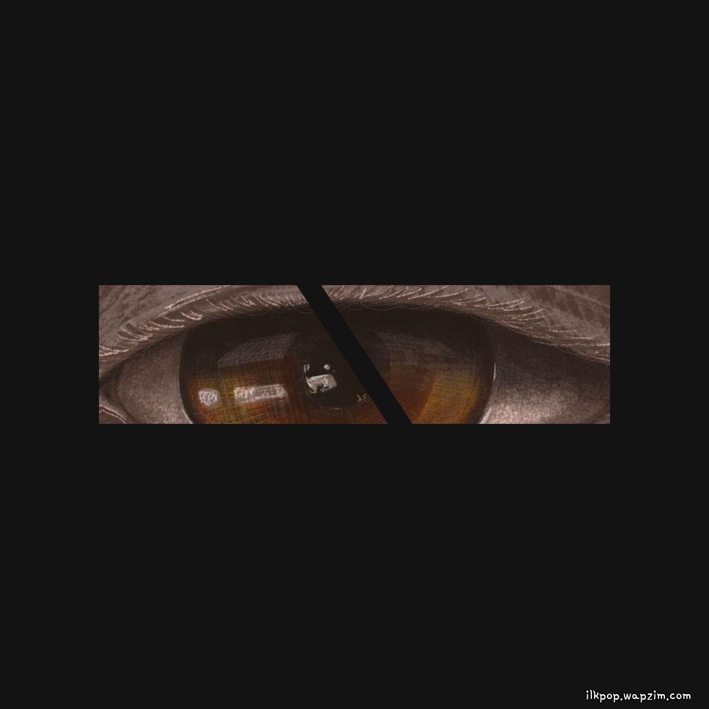 Modern IVY - Brown Eyes