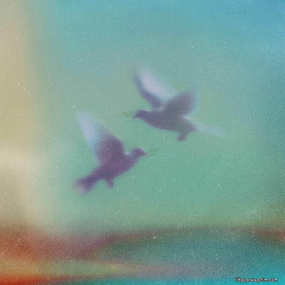 KIK & Dept - piece of peace