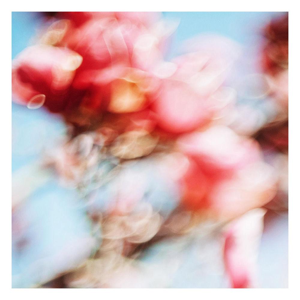 ALEPH - 영혼의 단짝 (beautiful, even now)